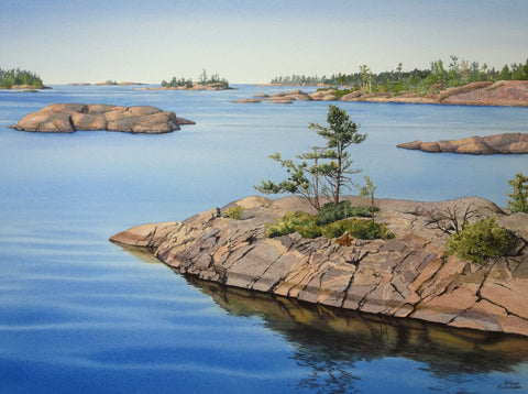 Tenacity, watercolour by Karen Richardson