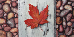 Canada Rocks! #6 by Karen Richardson