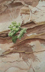 Between a Rock and a Hard Place Again, watercolour by Karen Richardson