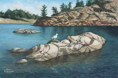 Rocky Perch, 7 x 10", watercolour framed with glass (SOLD)