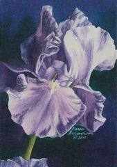 Pretty Woman, 6 x 4", Watercolour framed with glass (SOLD)