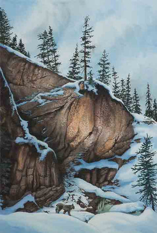 Wild Wonders - Lynx, 22 x 15", watercolour framed with glass