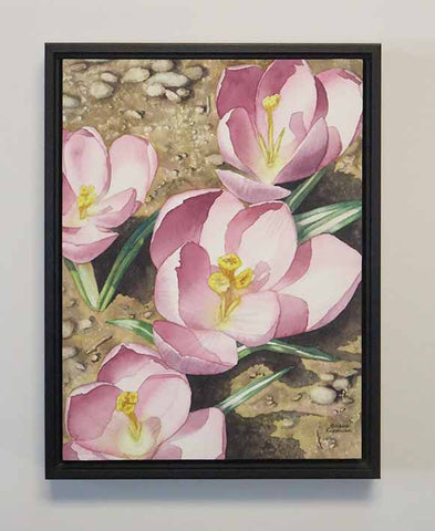 Crocus Focus, watercolour on panel, 12 x 9" (SOLD)