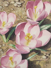 Crocus Focus, watercolour by Karen Richardson