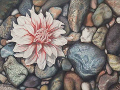 A Dahlia Down, watercolour painting by Karen Richardson