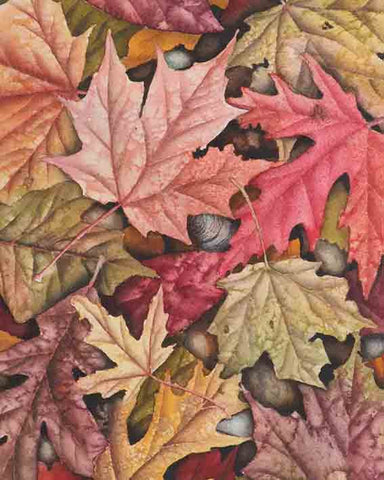 On the Garden path, original watercolour painting, 8"h x 10"w, mounted on archival panel with UV protective coating, in a black wood float frame.