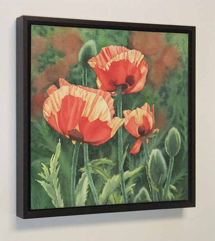 Poppies With Pizzazz, watercolour on panel, 12 x 12" (SOLD)