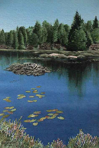 Northern Beaver Pond, 11 x 7" watercolour with mat (SOLD)