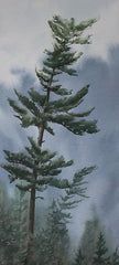 Temagami Timber, 20 x 9" watercolour with mat (SOLD)