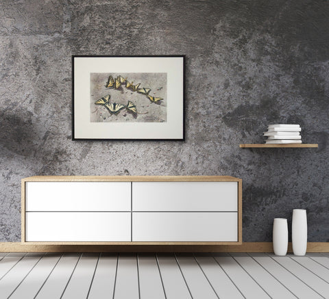 Sunbathing Swallowtails, watercolour by Karen Richardson, shown in a contemporary home