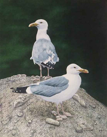 Defending High Ground, watercolour on panel, 14 x 11" (SOLD)