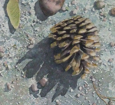 Pinecone Journey (detail), watercolour by Karen Richardson