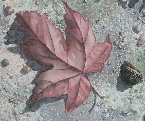 Pinecone Journey (detail), watercolour by Karen Richardson