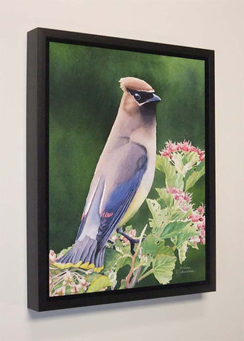 A Regal Gaze, watercolour by Karen Richardson