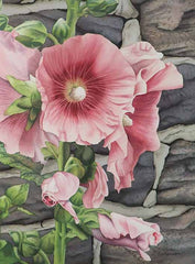 Hollyhock and Stone, watercolour by Karen Richardson