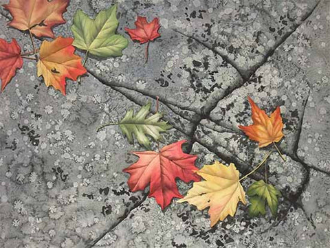 Leaves and Lichen, watercolour by Karen Richardson
