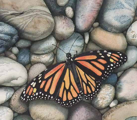 Monarch on the Rocks (detail), watercolour by Karen Richardson