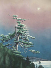 Moongazer, watercolour by Karen Richardson