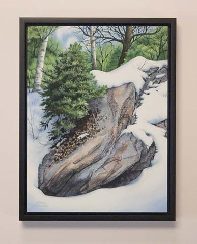 Snow and Stone, watercolour by Karen Richardson