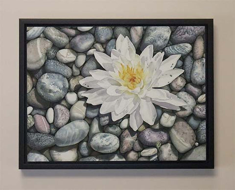 Waterlily on the Rocks, watercolour by Karen Richardson