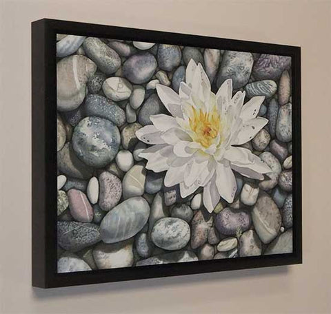 Waterlily on the Rocks, watercolour by Karen Richardson