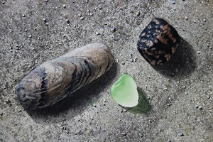 Arrived, watercolour by Karen Richardson