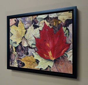 By the Sugar Shack, watercolour by Karen Richardson