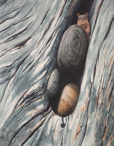 Curiosity, watercolour by Karen Richardson