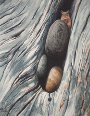 Curiosity, watercolour by Karen Richardson