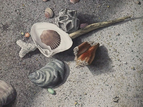 Seaside Treasures, detail, watercolour by Karen Richardson