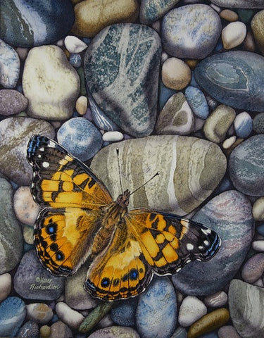 Superior Lady, watercolour by Karen Richardson