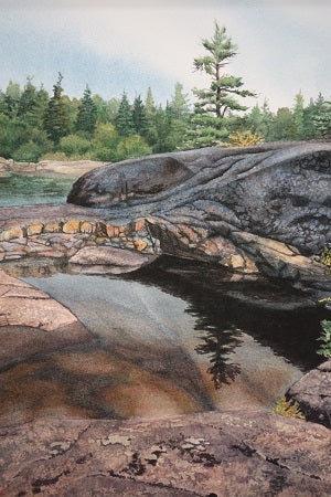 Superior Strength (detail), watercolour by Karen Richardson