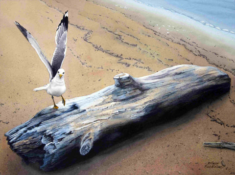 Come Fly With Me, watercolour by Karen Richardson
