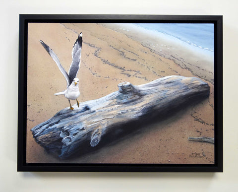Come Fly With Me, watercolour by Karen Richardson