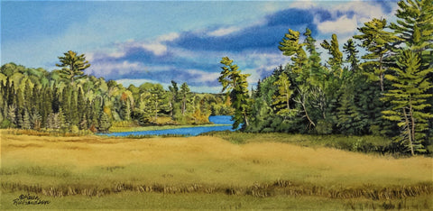 Change is in the Air, watercolour by Karen Richardson