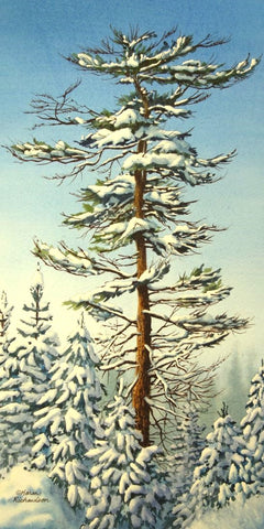 A Winter Wonder, watercolour by Karen Richardson