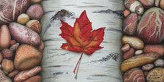 Canada Rocks! #4 by Karen Richardson