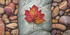 Canada Rocks! #5 by Karen Richardson
