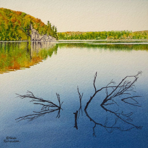 Solitaire Stillness by Karen Richardson