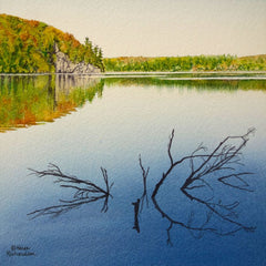 Solitaire Stillness by Karen Richardson
