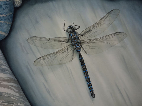 Love Changes Everything by Karen Richardson (detail).
Framed artwork of pebbles with a dragonfly.