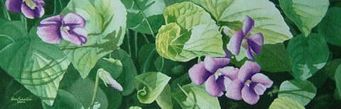 Wild About Violets, 6 x 21", watercolour framed with glass (SOLD)