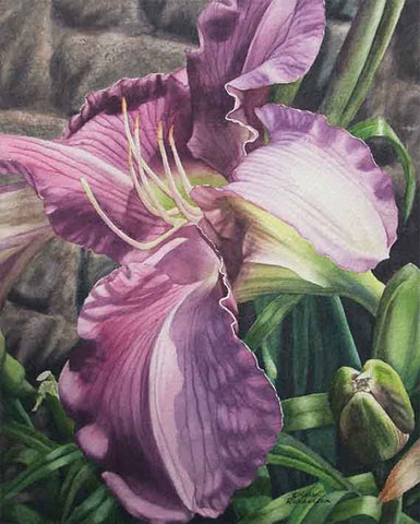 Garden Glory - Daylily, watercolour by Karen Richardson