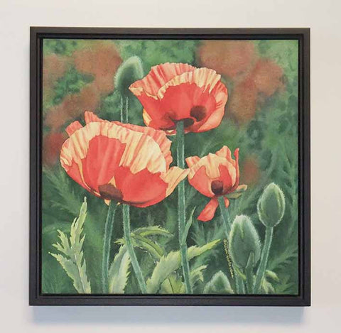 Poppies With Pizzazz, watercolour on panel, 12 x 12" (SOLD)
