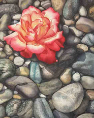Rose on the Rocks, 14 x 11", watercolour on panel (SOLD)