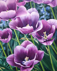 Tulip Time, watercolour by Karen Richardson