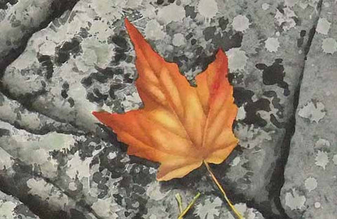 Leaves and Lichen (detail), watercolour by Karen Richardson