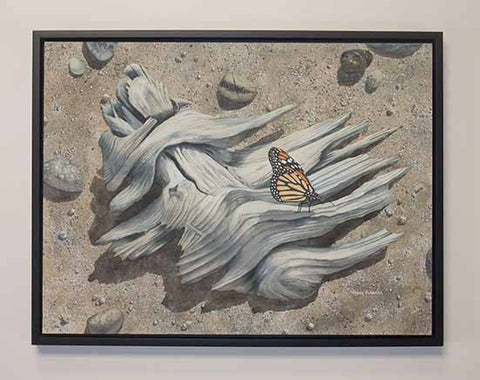 Monarch Adrift, watercolour by Karen Richardson