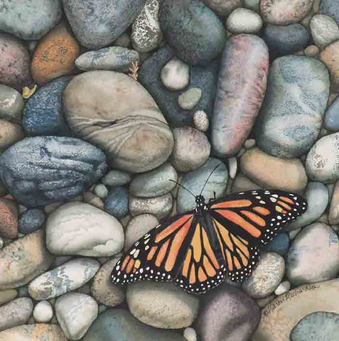 Monarch on the Rocks, watercolour by Karen Richardson