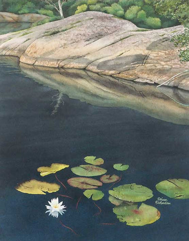 Stillwater Lily, watercolour by Karen Richardson